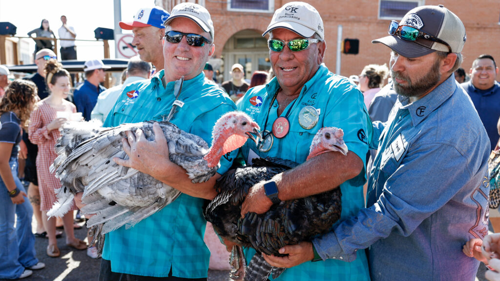 The History of Texas’ Quirky Turkey Drives
