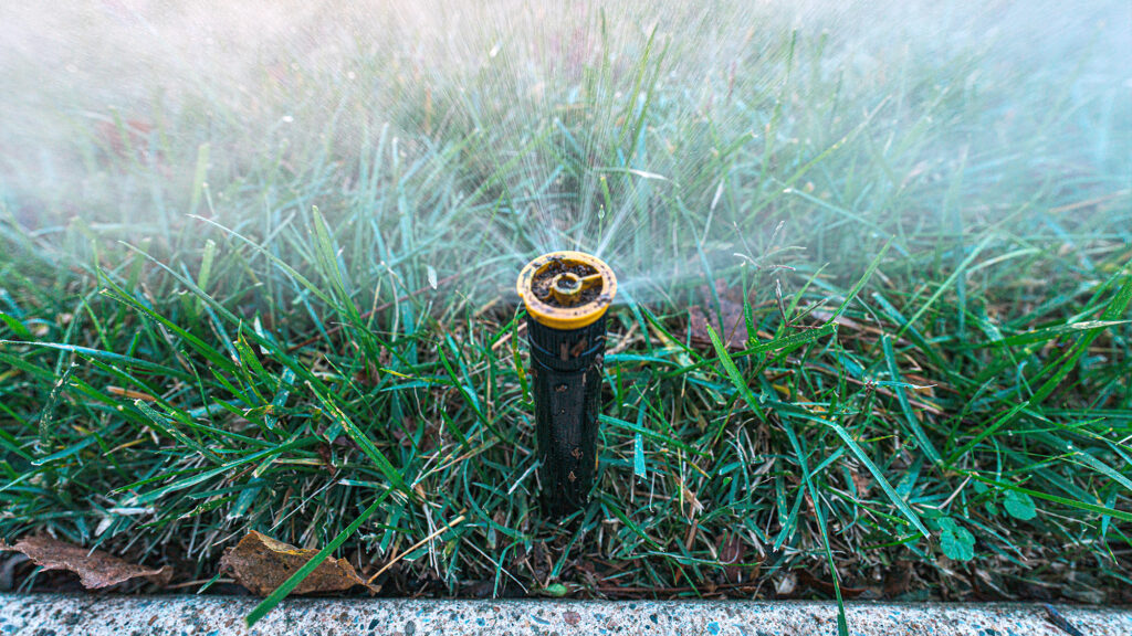 Sprinkler watering grass.
